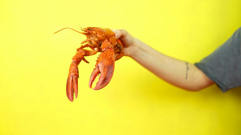 Quand peut-on introduire les fruits de mer dans l’alimentation de bébé ?