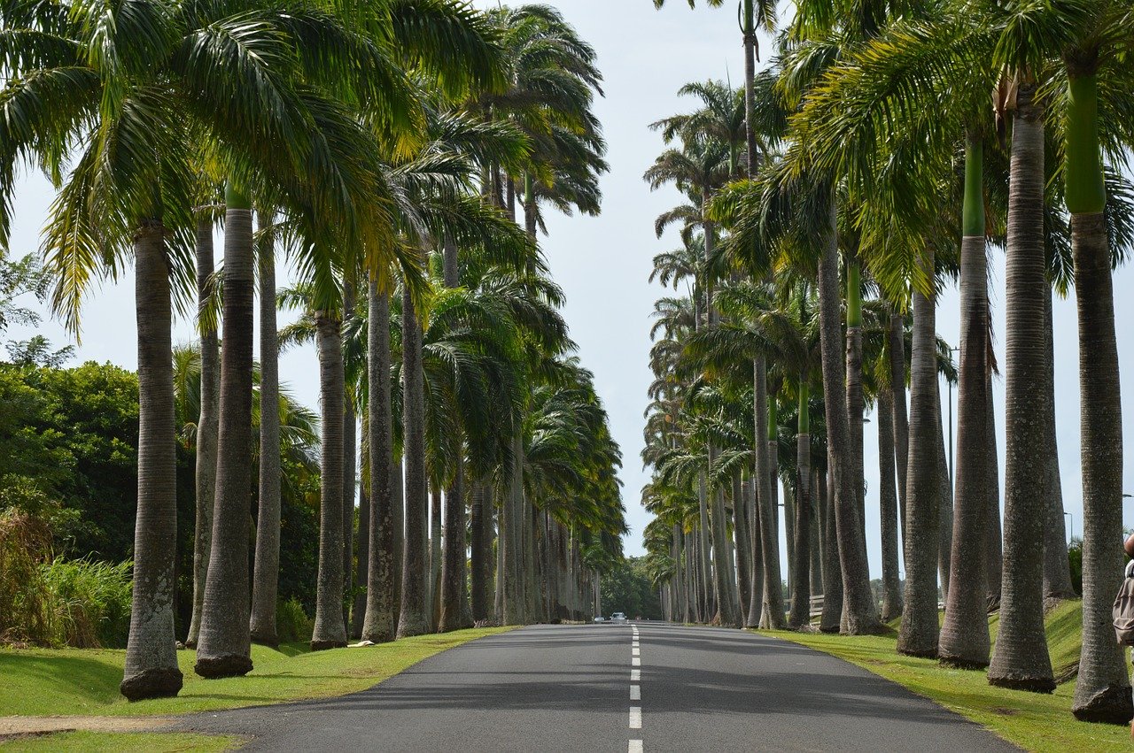 Les activités à pratiquer avec vos enfants en Guadeloupe